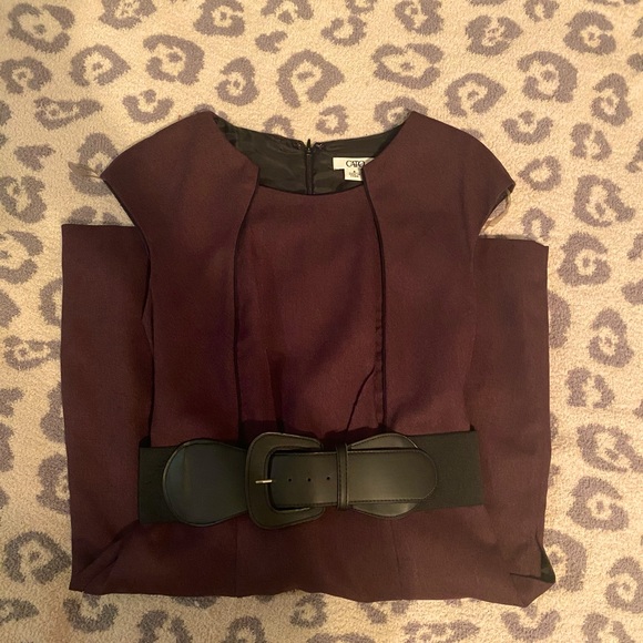 Gorgeous & Classy Plum Dress. Like New! Size US 6 - Picture 1 of 3